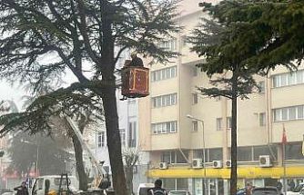 Şehir merkezinde riskli ağaçlara sepetli araçlı müdahale