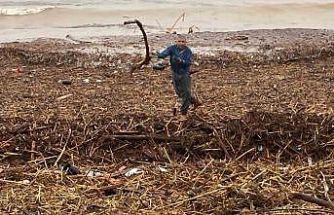 Sel sonrası deniz kahverengi oldu, sahiller odun doldu