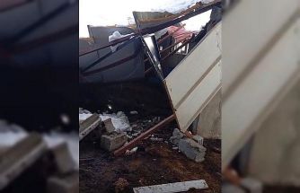 Siirt’te 5 buzağı çöken çatının altında kalarak telef oldu