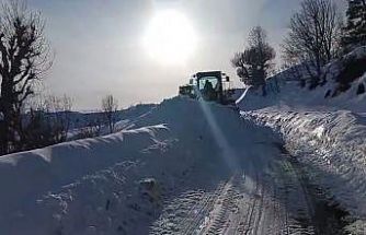 Siirt’te karla kaplı yollar açıldı