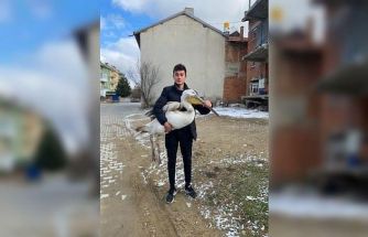 Sokakta gezerken pelikan buldu