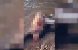 Suriye’de su kanalında erkek cesedi bulundu