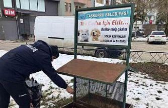 Taşköprü Belediyesi sokak hayvanlarını unutmuyor