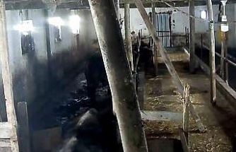 Tokat’ta ahırın çatısı çöktü