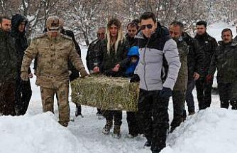 Vali Aygöl, yaban hayvanları için kolları sıvadı