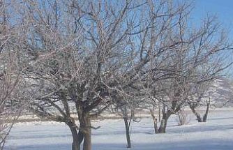Van’da Sibirya soğukları hayatı olumsuz etkiliyor