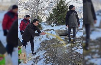 Yabani hayvanlar için doğaya yem bırakıldı