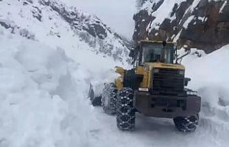 Yayla yolları için seferber oldular