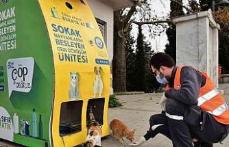 Yıldırım Belediyesi’nden sokak hayvanlarına sıcak yuva