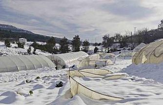 Yoğun kar çok sayıda serayı yıktı