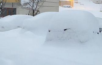 Yüksekova kara gömüldü: Kar kalınlığı yarım metreyi geçti
