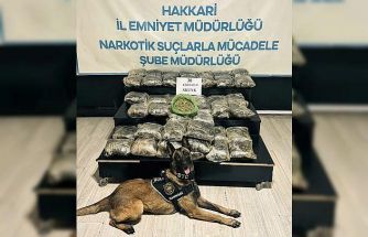 Yüksekova’da 30 kilo Skunk ele geçirildi: 2 şüpheli gözaltında