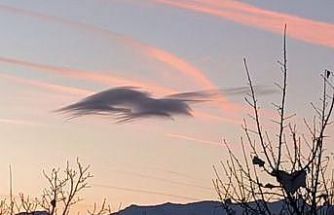 Yüksekova’da gökyüzünde doğa şöleni: Bir bulut onlarca silüet