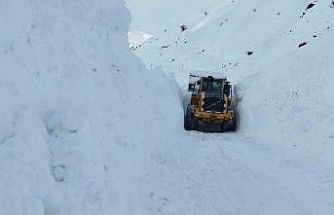 Yüksekova’da mezra yoluna düşen çığ temizlendi