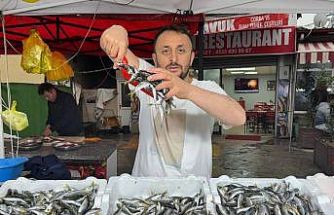 Zonguldak’ta istavrit tezgahta 100 liradan satıldı