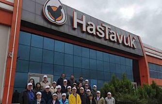 ABD Türk tavuğunun peşinde