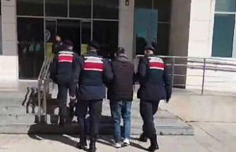 Adana’da 10 milyon 110 bin kaçak makaron ele geçirildi