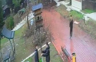 Adana’da parktaki kuş yuvasını parçaladılar