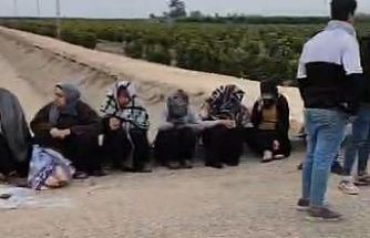 Adana’da trafik kazası: 1’i ağır 7 tarım işçisi yaralandı