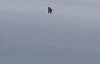 Adilcevaz’da kar üzerinde vaşak görüntülendi