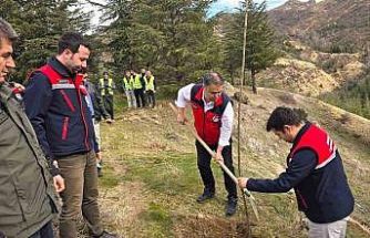 Afyonkarahisar’da 2 bin kestane fidanı toprakla buluşturuldu