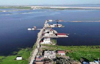 Amik Ovası’nda şiddetli yağışla birlikte tarım arazileri ve evler günlerdir sular altında