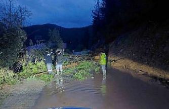 Antalya Gündoğmuş’ta dereler taştı, piknik alanları su altında kaldı
