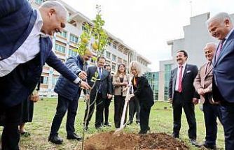 AÜ İlahiyat Fakültesi bahçesine 100 ağaç dikildi
