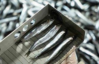 Avcılık denetimlerinde ceza yağdı: 2,6 milyon TL’yi aştı