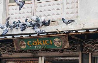 Balkonunu kuşlara sofra yaptı: Demircili esnaftan örnek davranış