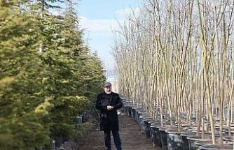 Başkan Çolakbayrakdar: "Şehrin yeşil geleceğini Kocasinan’da inşa ediyoruz"