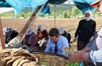 Başkan Tatık’tan tütün firmalarına ’Alım takvimi açıklayın’ çağrısı