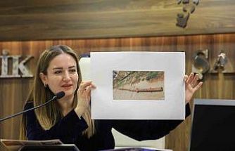 Başkan Vekili Özdemir: "Altıntaş’a çok önemli yatırımlar yapıldı"