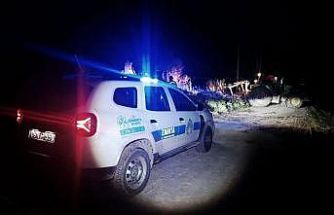 Bataklığa saplanan hayvan kurtarıldı