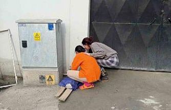 Beyoğlu’nda yangında ölen kedisinin başında sinir krizi geçirdi