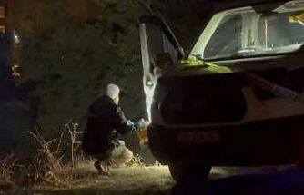 Bıçaklı cinayetin faili yakalandı