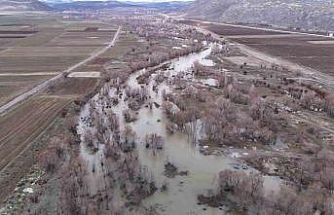 Bir dönem tamamen kuruyan nehir, yeniden coştu