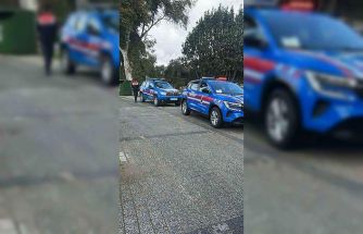 Bodrum’da iki köpeğin silahla vurulduğu iddiası