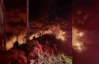 Bodrum’da ormanlık alanda yangın: 2 dönüm alan zarar gördü