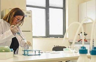 BŞEÜ’den dünyanın en saygın dergilerinden Food Chemıstry’de bir yayın daha