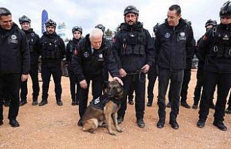 Bursa afetlere karşı dirençli hale geliyor