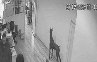 Bursa’da arkadaşına şaka yapmak isterken elini yaktı