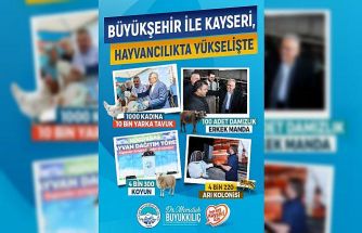 Büyükşehir ile Kayseri, hayvancılıkta yükselişte