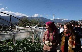 Büyükşehirden 121 çiftçiye 212 bin 400 metrekare sera naylonu desteği