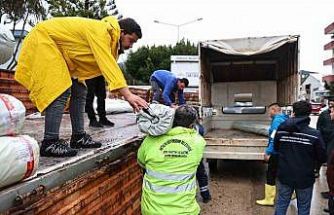 Büyükşehir’den hortum ve fırtınadan zarar gören üreticiye sera naylonu desteği