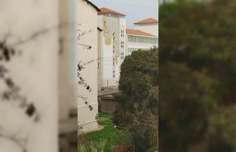 Çanakkale’de fırtına ağaçları devirdi