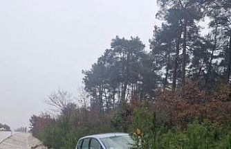 Çanakkale’de yoldan çıkan otomobil ağaca çarptı; 2 kişi yaralandı