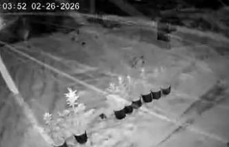 Çankırı’da kar yağışı etkili oluyor