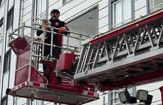 Çatıda mahsur kalan kedi kurtarıldı