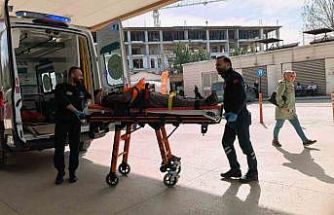 Ceviz ağacından düşen yaşlı adam ağır yaralandı